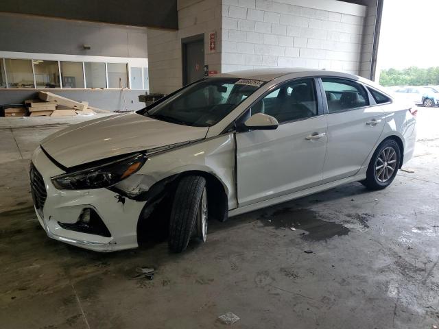 HYUNDAI SONATA SE 2019 5npe24af0kh816044