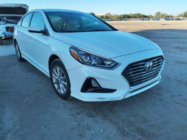 HYUNDAI SONATA SE 2019 5npe24af0kh817033