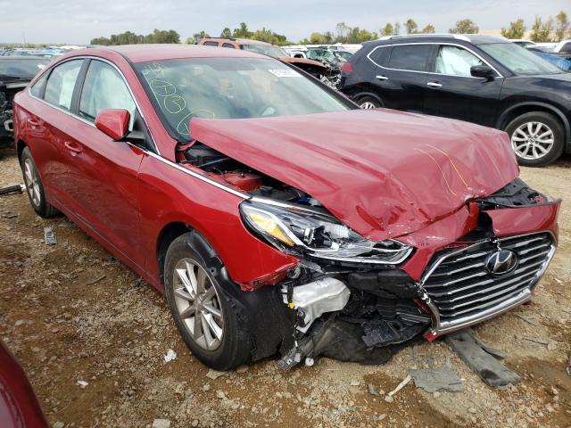 HYUNDAI SONATA SE 2019 5npe24af0kh817906