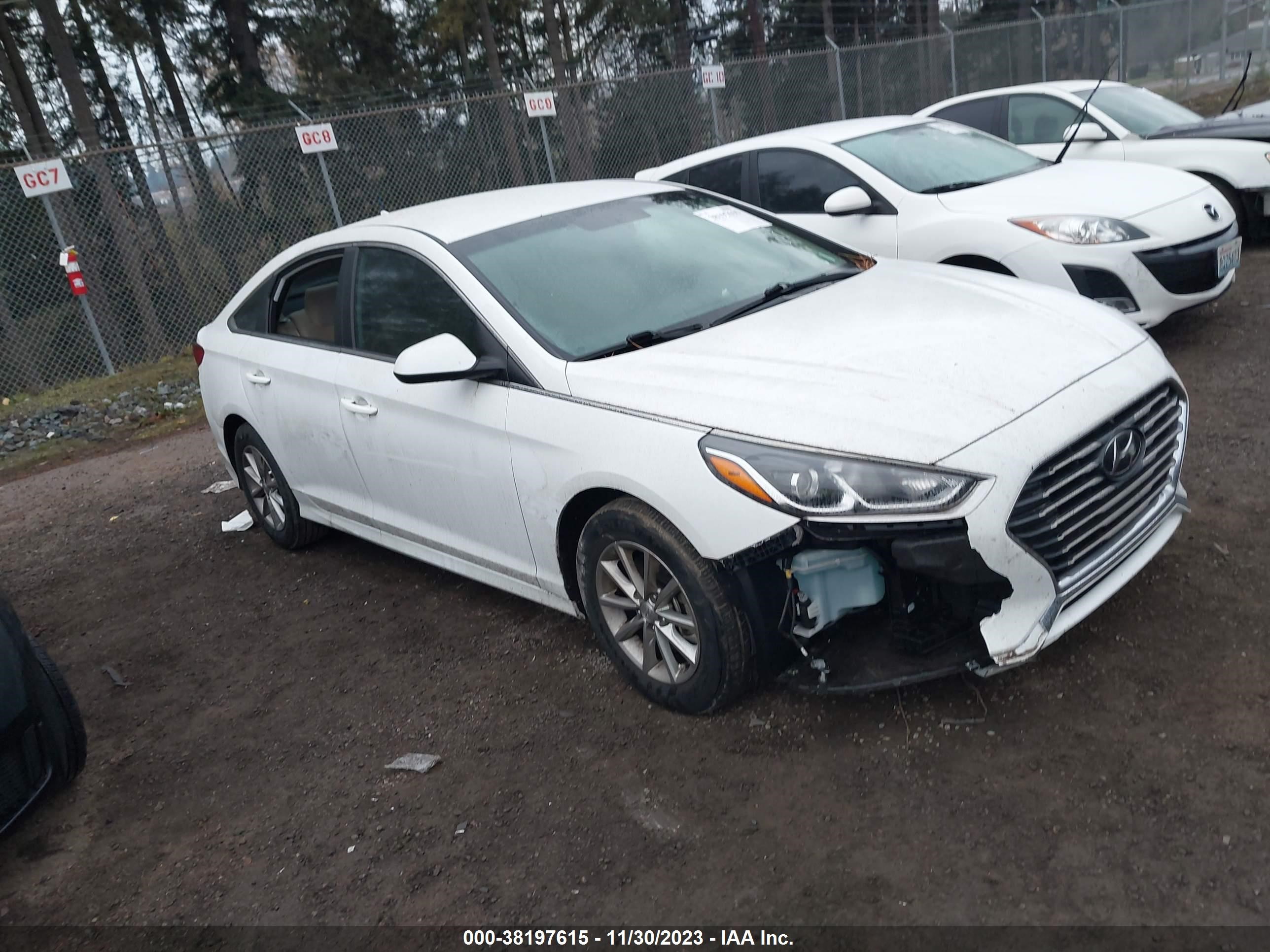 HYUNDAI SONATA 2019 5npe24af0kh819218