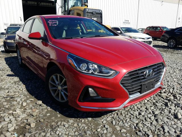 HYUNDAI SONATA SE 2019 5npe24af0kh819610