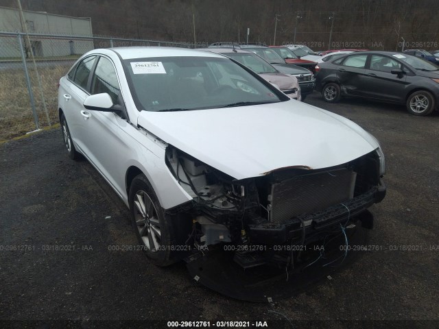 HYUNDAI SONATA 2015 5npe24af1fh000904