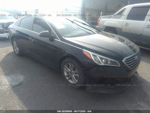 HYUNDAI SONATA 2015 5npe24af1fh006489