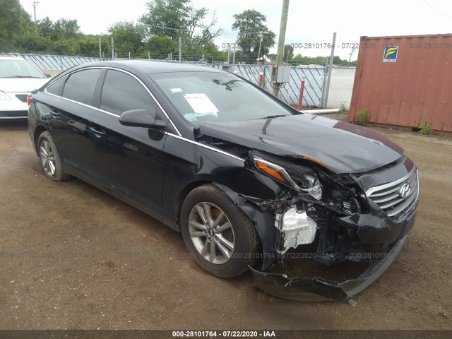 HYUNDAI SONATA 2015 5npe24af1fh008582