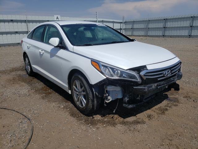 HYUNDAI SONATA SE 2015 5npe24af1fh010123