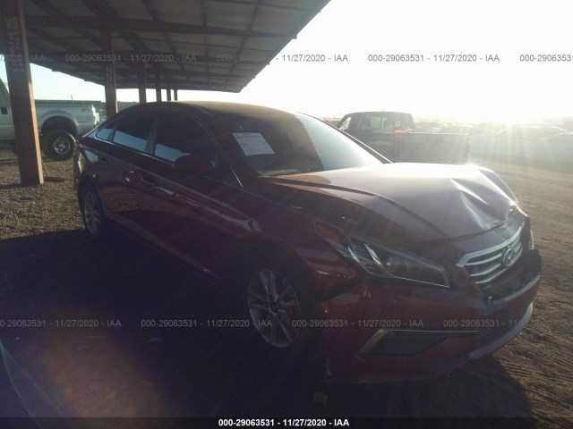 HYUNDAI SONATA 2015 5npe24af1fh015290