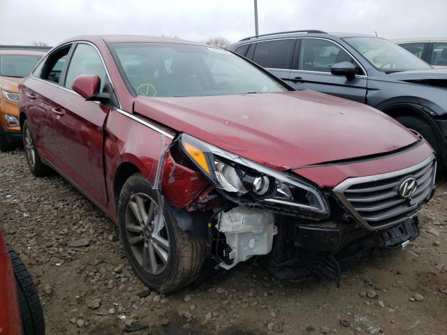 HYUNDAI SONATA SE 2015 5npe24af1fh024748