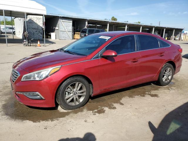 HYUNDAI SONATA 2015 5npe24af1fh036348