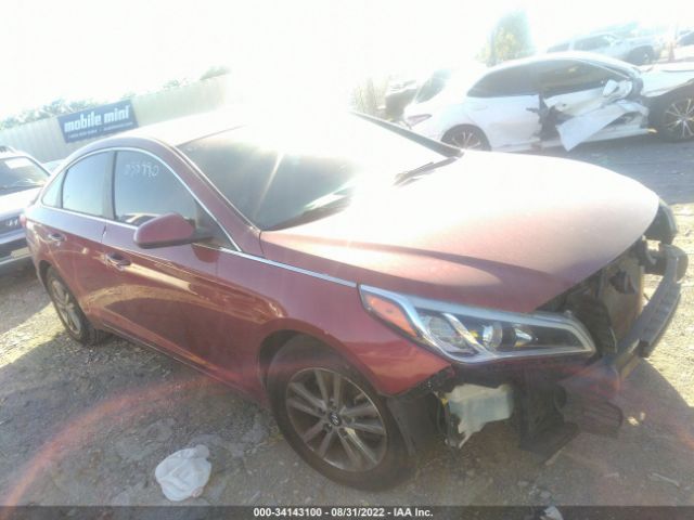 HYUNDAI SONATA 2015 5npe24af1fh038990