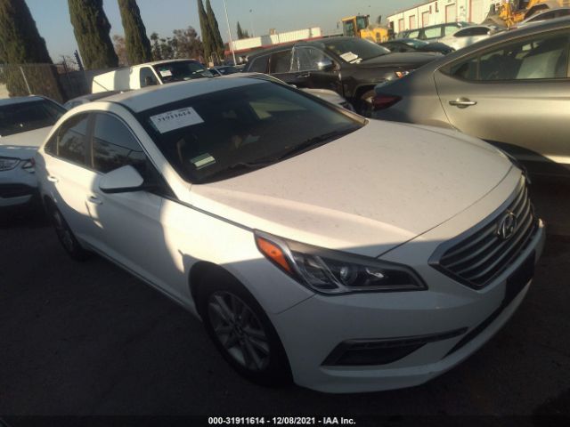 HYUNDAI SONATA 2015 5npe24af1fh039668