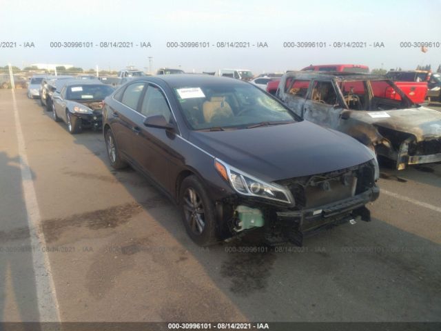 HYUNDAI SONATA 2015 5npe24af1fh048838