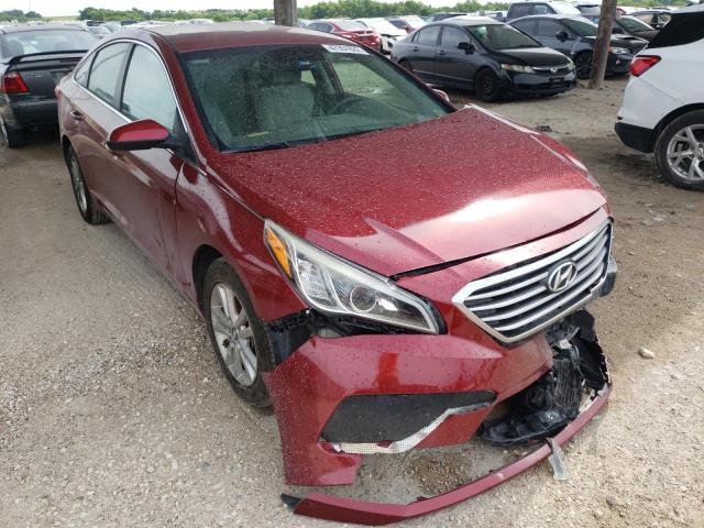 HYUNDAI SONATA SE 2015 5npe24af1fh063646