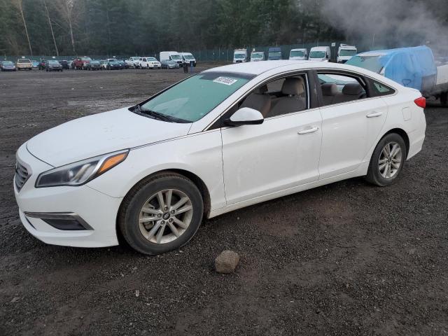 HYUNDAI SONATA 2015 5npe24af1fh066370