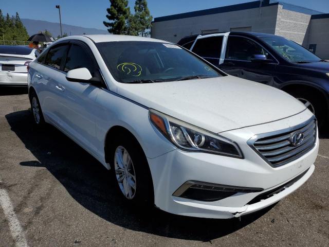 HYUNDAI SONATA SE 2015 5npe24af1fh072315