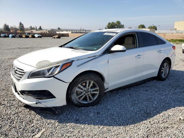 HYUNDAI SONATA 2015 5npe24af1fh123277