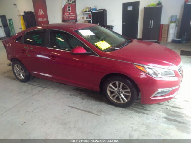 HYUNDAI SONATA 2015 5npe24af1fh128401