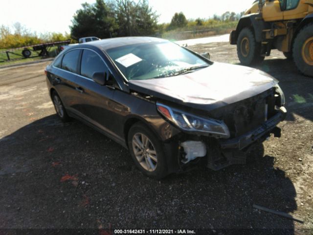 HYUNDAI SONATA 2015 5npe24af1fh128995