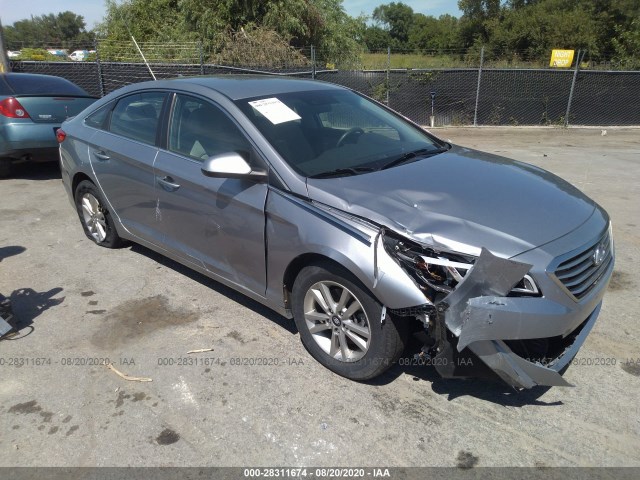 HYUNDAI SONATA 2015 5npe24af1fh133971