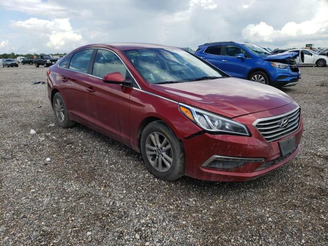 HYUNDAI SONATA SE 2015 5npe24af1fh134294