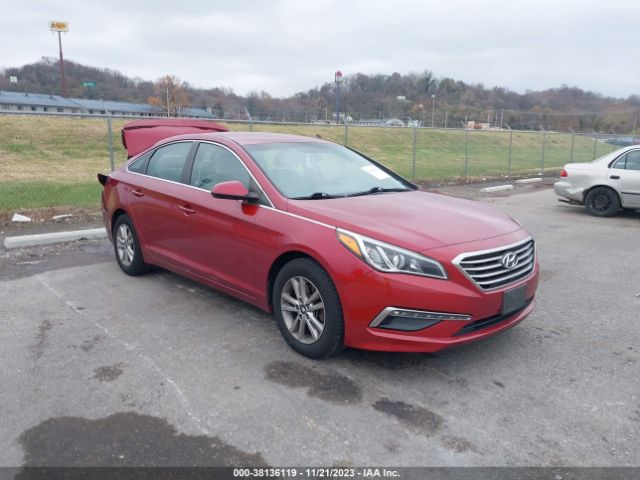 HYUNDAI SONATA 2015 5npe24af1fh139981