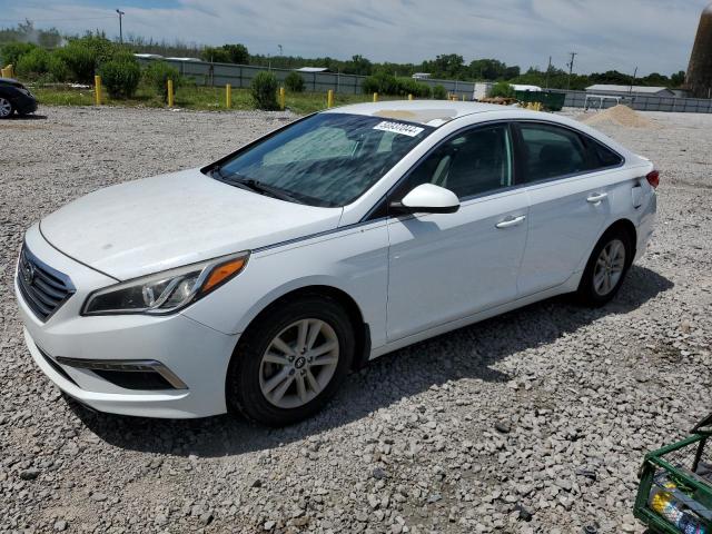 HYUNDAI SONATA 2015 5npe24af1fh143447