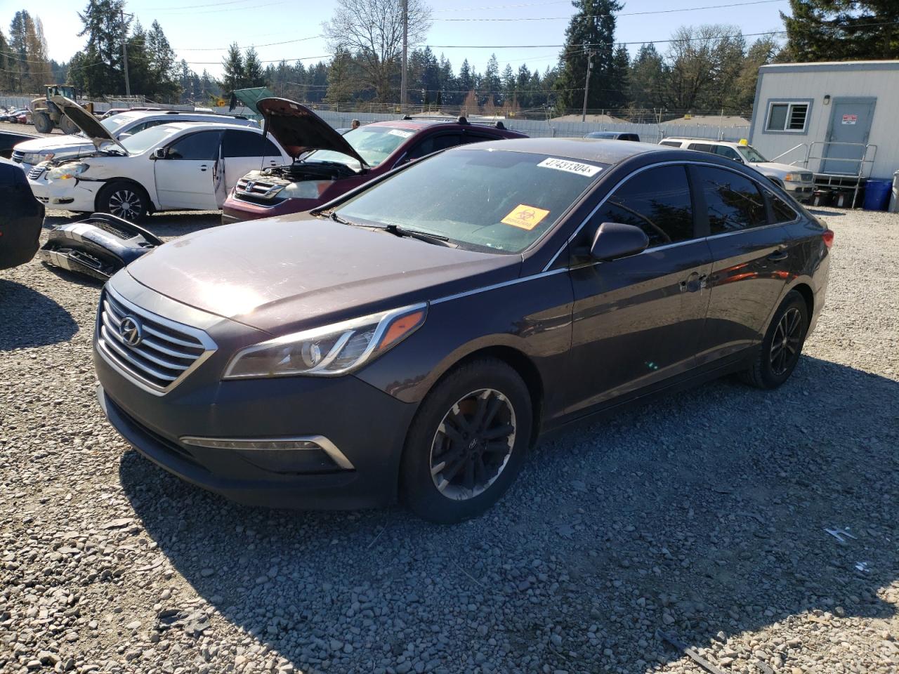 HYUNDAI SONATA 2015 5npe24af1fh146865