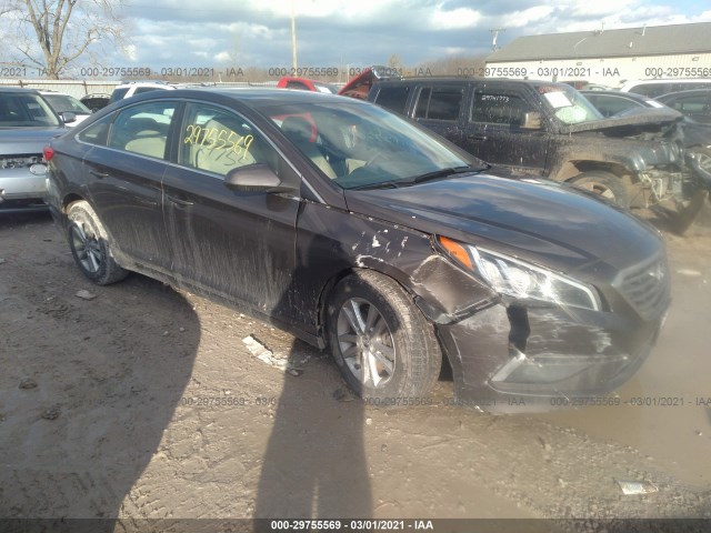 HYUNDAI SONATA 2015 5npe24af1fh161124