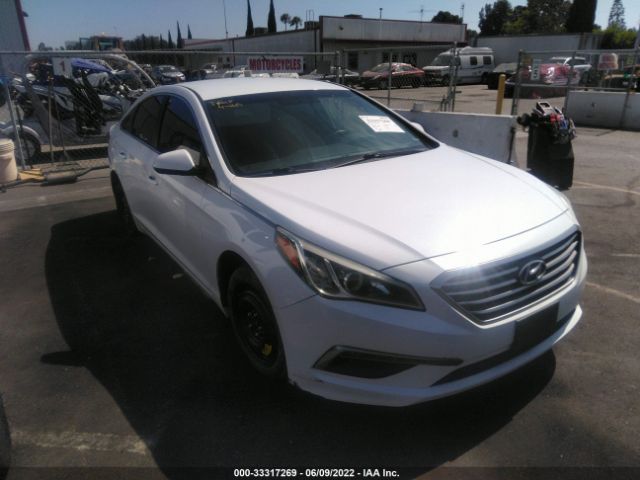 HYUNDAI SONATA 2015 5npe24af1fh166436