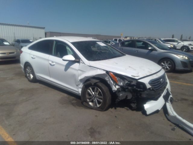 HYUNDAI SONATA 2015 5npe24af1fh176688