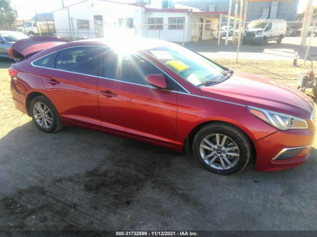 HYUNDAI SONATA 2015 5npe24af1fh183995