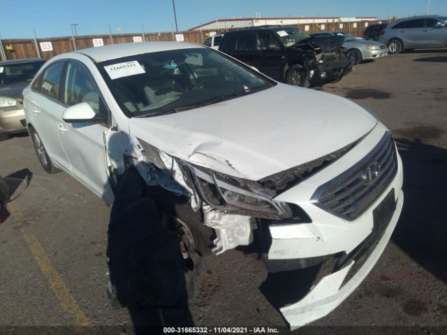 HYUNDAI SONATA 2015 5npe24af1fh184662