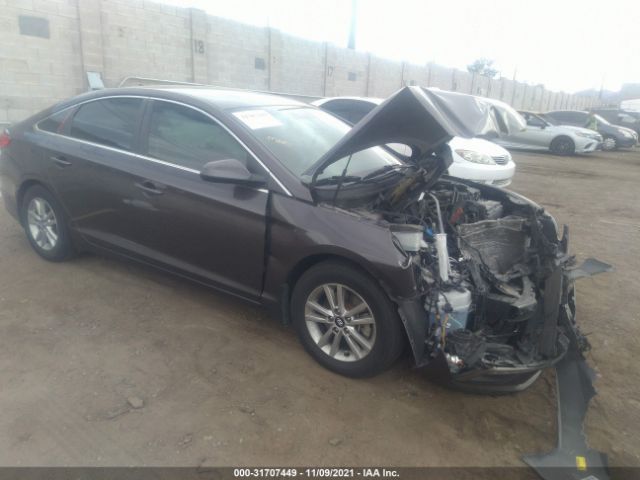 HYUNDAI SONATA 2015 5npe24af1fh186833