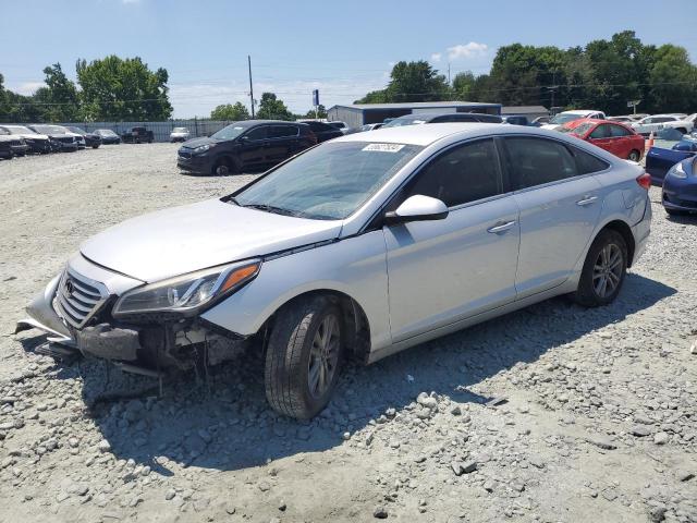 HYUNDAI SONATA 2015 5npe24af1fh187173