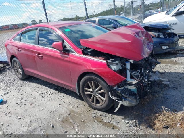 HYUNDAI SONATA 2015 5npe24af1fh200228