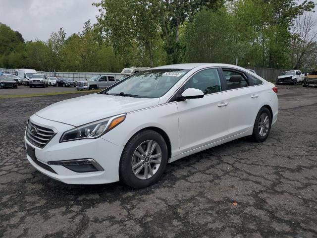 HYUNDAI SONATA 2015 5npe24af1fh204571