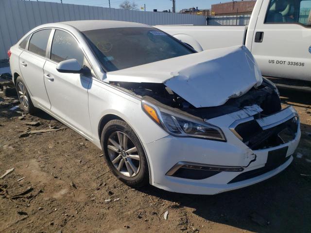 HYUNDAI SONATA SE 2015 5npe24af1fh206501