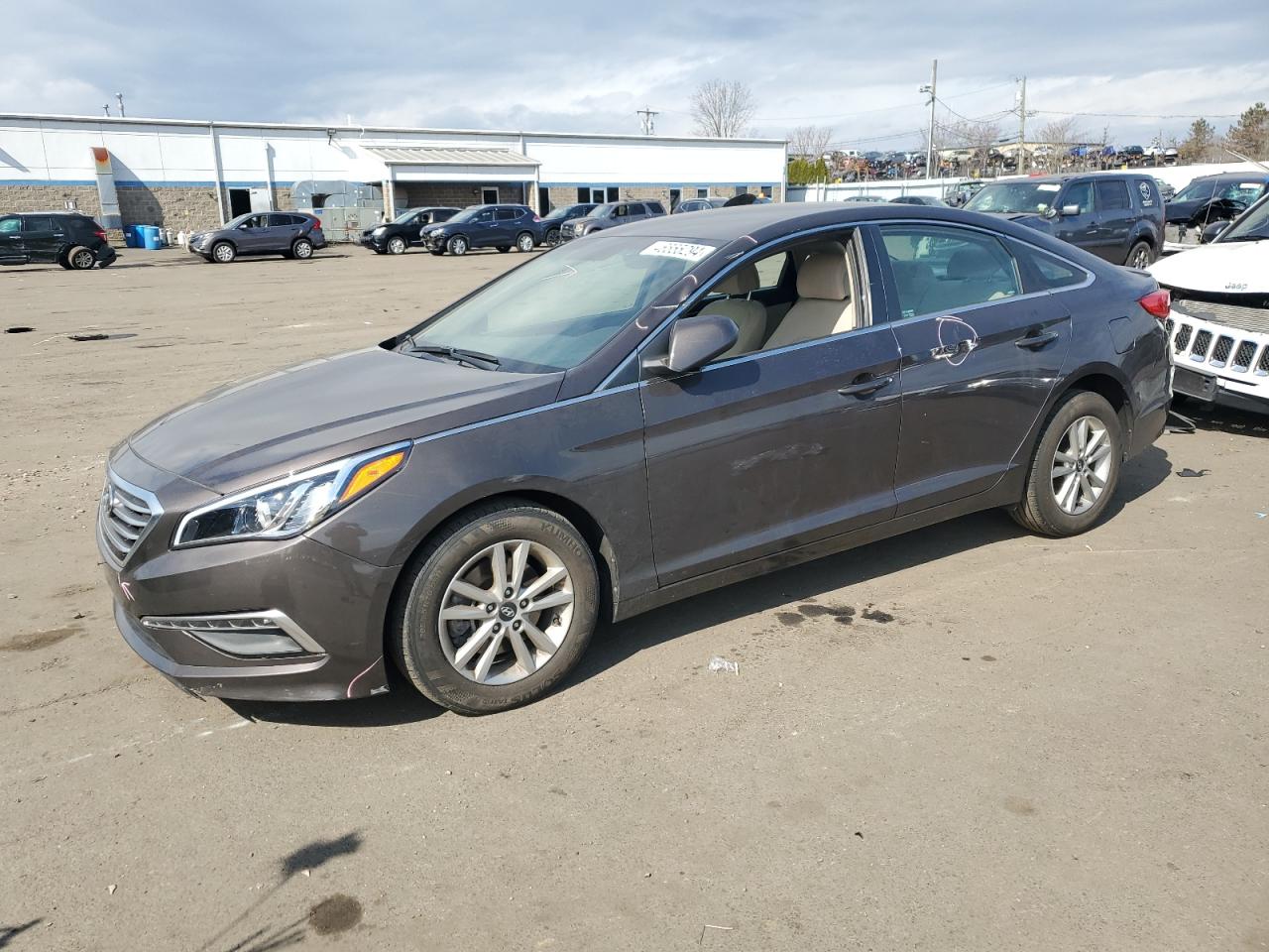 HYUNDAI SONATA 2015 5npe24af1fh206577