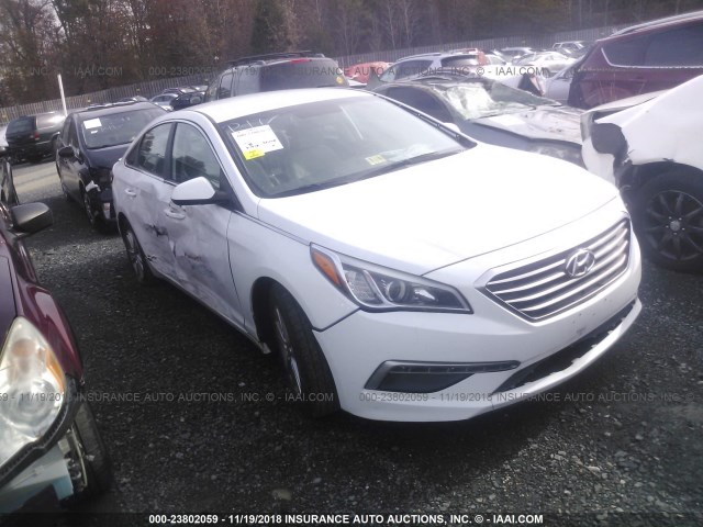 HYUNDAI SONATA 2015 5npe24af1fh211178