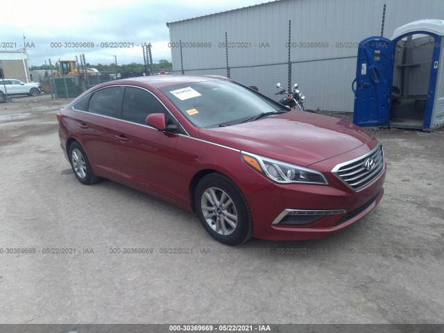 HYUNDAI SONATA 2015 5npe24af1fh212251