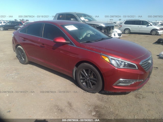 HYUNDAI SONATA 2015 5npe24af1fh215845