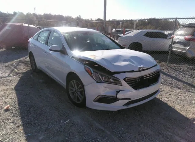 HYUNDAI SONATA 2015 5npe24af1fh219183