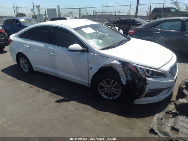 HYUNDAI SONATA 2015 5npe24af1fh221161