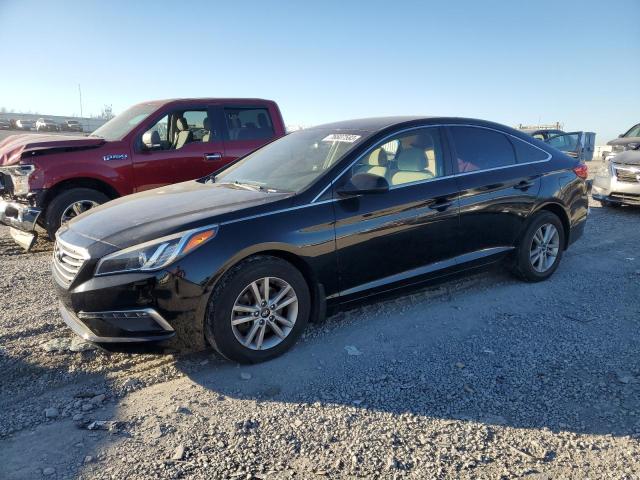 HYUNDAI SONATA 2015 5npe24af1fh223346