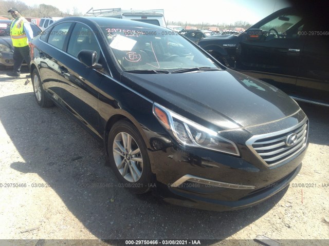 HYUNDAI SONATA 2015 5npe24af1fh227297