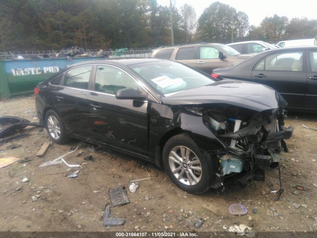 HYUNDAI SONATA 2015 5npe24af1fh233195