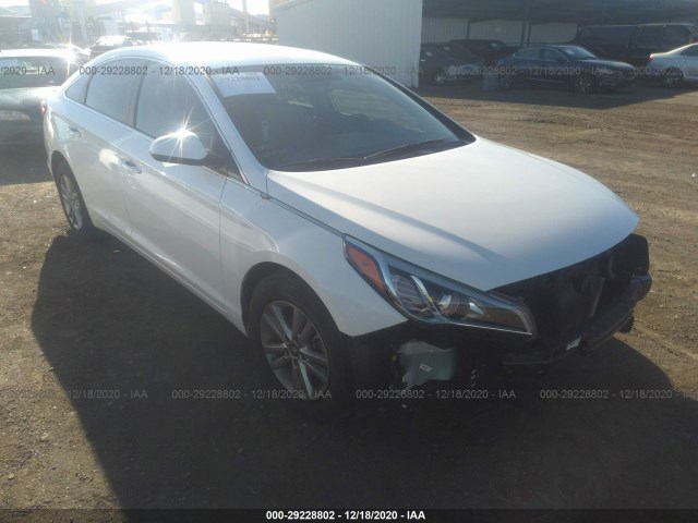 HYUNDAI SONATA 2015 5npe24af1fh235447