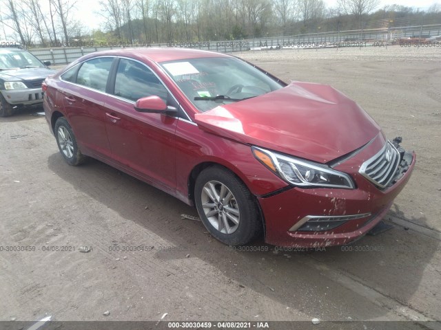 HYUNDAI SONATA 2015 5npe24af1fh237358