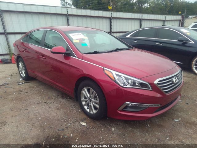 HYUNDAI SONATA 2015 5npe24af1fh244679