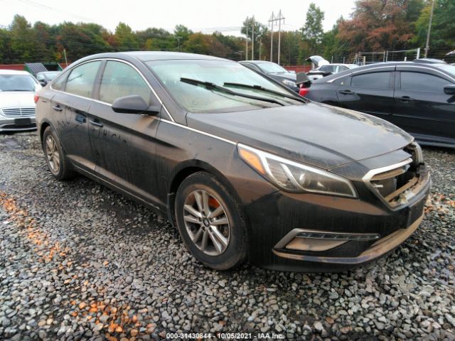 HYUNDAI SONATA 2015 5npe24af1fh246383