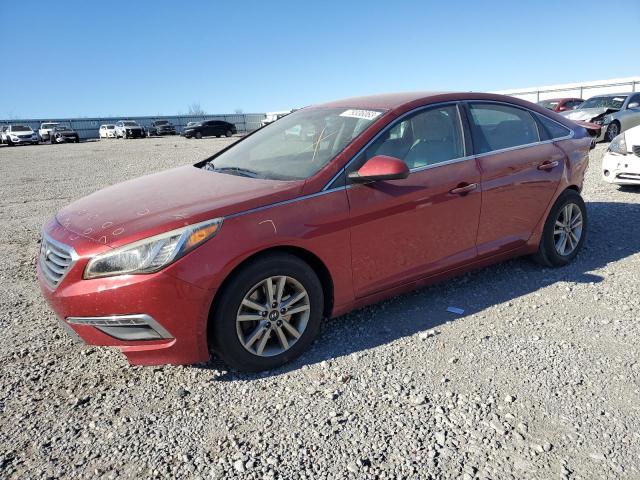 HYUNDAI SONATA 2015 5npe24af1fh249669